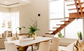 decoracao com planta
